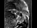221124_Hoernchen