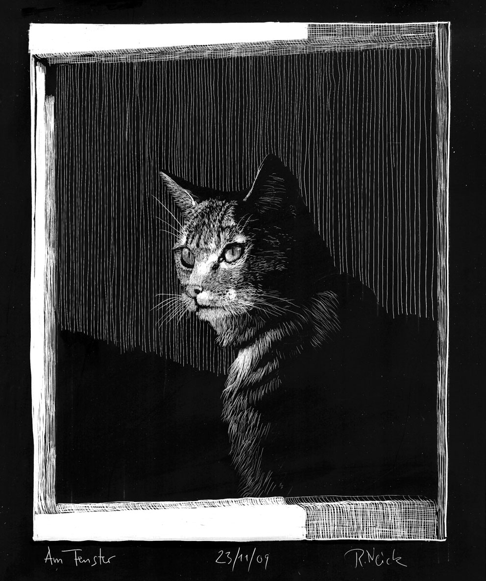 231109_amfenster