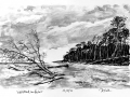 171106_Weststrandherbst