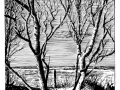 171221_Birken