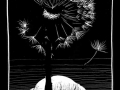 180809_Pusteblume