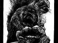 180815_squirrel