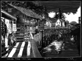 181017_Ketchikan-Creekstree