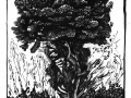 190313_BaumaufBaum