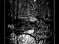 191023_Herbstmoor02