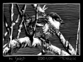 200130_imgeaest