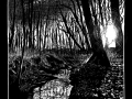 200204_Wintersonne