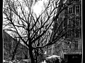 200318_Kollwitzstrasse