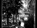 200603_Kopenhagener