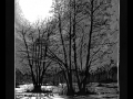 210304_Schlittschuhwiesen