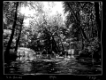 210712_Hochwald