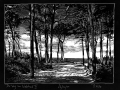 230215_Westrand2
