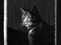 231109_amfenster