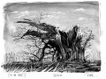 Die alte Weide 03