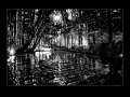 230112_HochwaldMittags-scaled