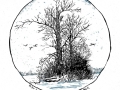 230202_Radensdorf_winter