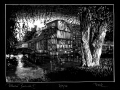 240322_Buschmuehle2