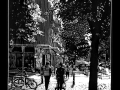230504_Stargarder03