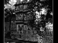 200617_Fuechsen