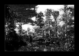 Im Schatten des Hochwaldes