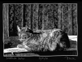 210429_Kater
