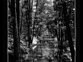Sommer im Spreewald bei Alt Zauche