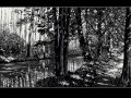 Fontaneweg im Hochwald