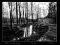 Herbst zwischen Lehde und Leipe